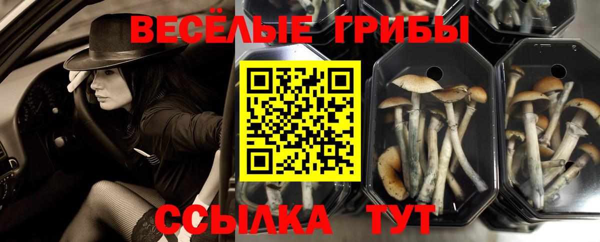 Рузаевка  Псилоцибиновые грибы Magic Shrooms  Вход с VPN  Псилоцибиновые грибы мухоморы 